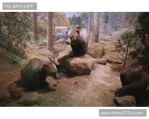 灰熊栖息地与生态保护现状探讨及未来发展前景分析